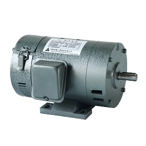 直流馬達 DC Motor