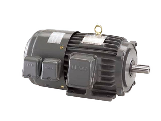 變頻馬達 Inverter Duty Motor